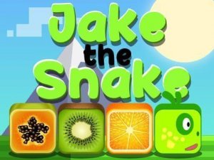 Jake the Snake Puzzle Game