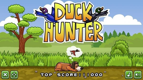 Duck Catch Classic Arcade