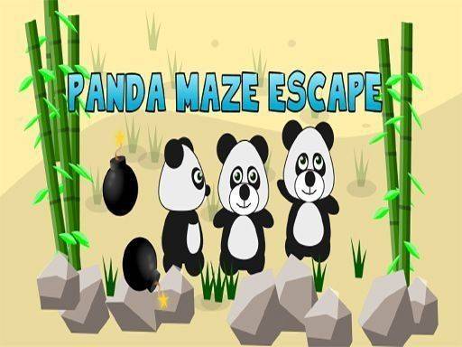 Panda Maze Logic Adventure