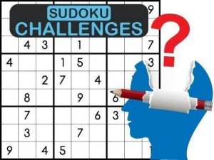Sudoku Challenges Puzzle Game