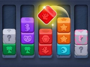 Color Block Sort Puzzle Game
