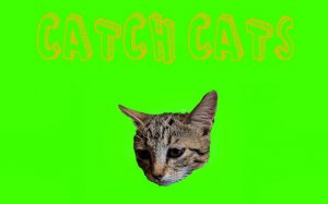 Catch Cats - Fun Cat Catching Game